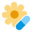 allergy